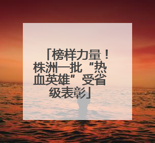 榜样力量！株洲一批“热血英雄”受省级表彰