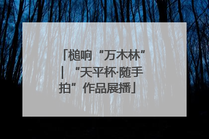 槌响“万木林”｜“天平杯·随手拍”作品展播