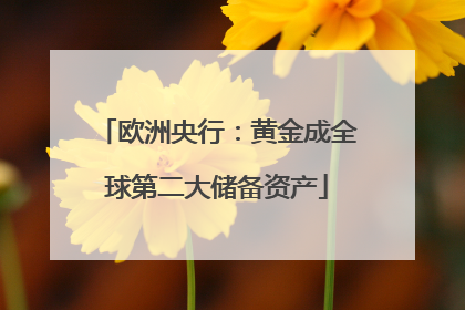 欧洲央行：黄金成全球第二大储备资产