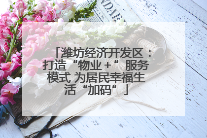 潍坊经济开发区：打造“物业＋”服务模式 为居民幸福生活“加码”