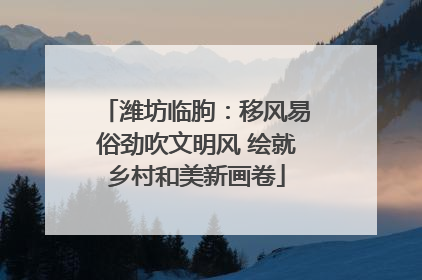 潍坊临朐：移风易俗劲吹文明风 绘就乡村和美新画卷