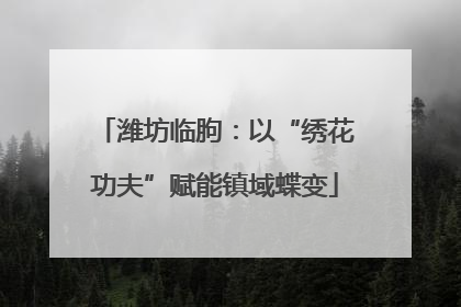潍坊临朐：以“绣花功夫”赋能镇域蝶变