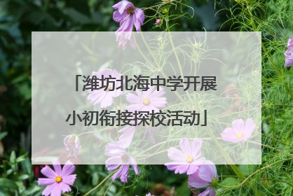 潍坊北海中学开展小初衔接探校活动