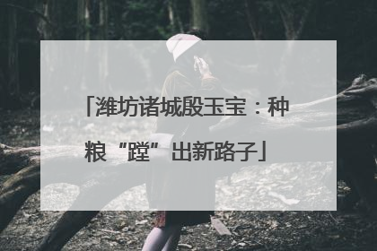 潍坊诸城殷玉宝：种粮“蹚”出新路子