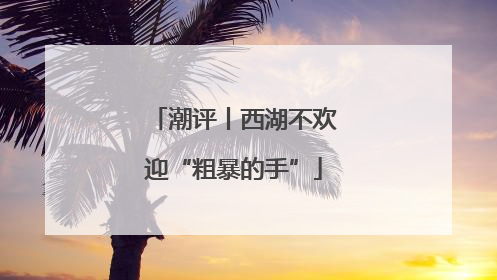 潮评丨西湖不欢迎“粗暴的手”