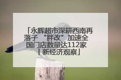 永辉超市深耕西南再落子 “胖改”加速全国门店数量达112家丨新经济观察