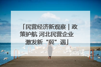 民营经济新观察｜政策护航 河北民营企业激发新“冀”遇