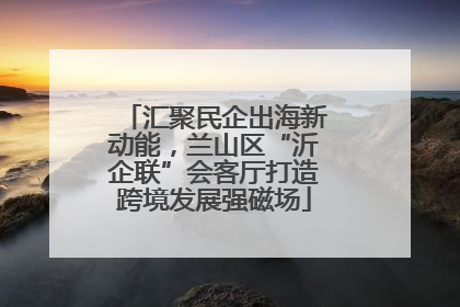 汇聚民企出海新动能，兰山区“沂企联”会客厅打造跨境发展强磁场