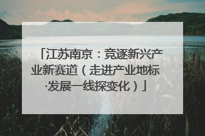 江苏南京：竞逐新兴产业新赛道（走进产业地标·发展一线探变化）