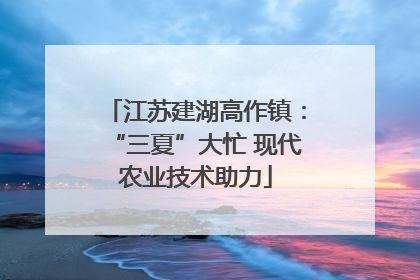 江苏建湖高作镇：“三夏”大忙 现代农业技术助力