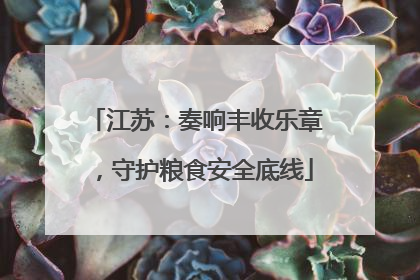 江苏：奏响丰收乐章，守护粮食安全底线