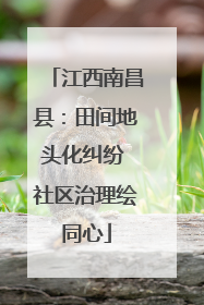 江西南昌县：田间地头化纠纷 社区治理绘同心