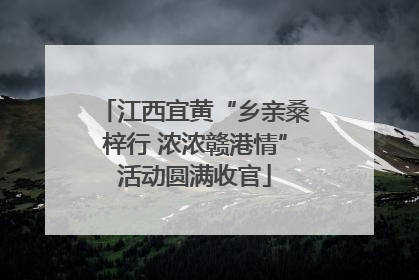 江西宜黄“乡亲桑梓行 浓浓赣港情”活动圆满收官