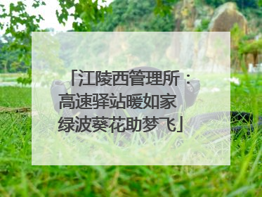 江陵西管理所：高速驿站暖如家 绿波葵花助梦飞
