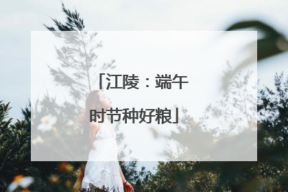 江陵：端午时节种好粮