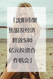 沈阳市聚焦银发经济释放530亿元投资合作机会