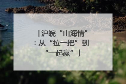 沪皖“山海情”：从“拉一把”到“一起赢”