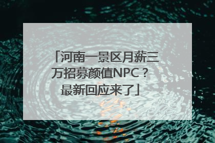 河南一景区月薪三万招募颜值NPC？最新回应来了