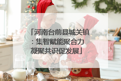 河南台前县城关镇：集智赋能聚合力 凝聚共识促发展