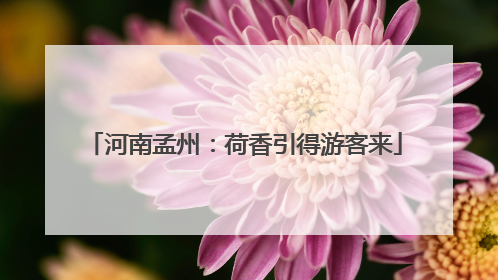 河南孟州:荷香引得游客来