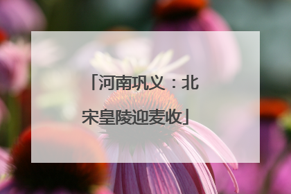 河南巩义：北宋皇陵迎麦收