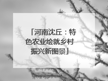 河南沈丘：特色农业绘就乡村振兴新图景