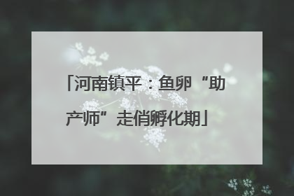 河南镇平：鱼卵“助产师”走俏孵化期