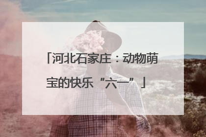 河北石家庄：动物萌宝的快乐“六一”
