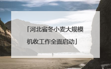 河北省冬小麦大规模机收工作全面启动
