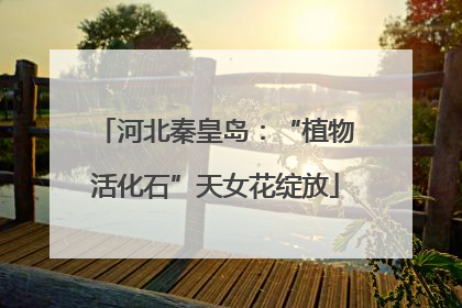 河北秦皇岛：“植物活化石”天女花绽放