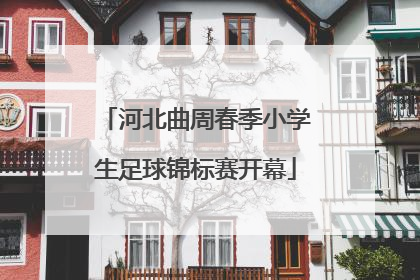 河北曲周春季小学生足球锦标赛开幕