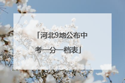 河北9地公布中考一分一档表