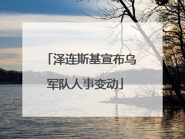 泽连斯基宣布乌军队人事变动