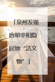 泉州发现唐朝宰相隐居地“活文物”