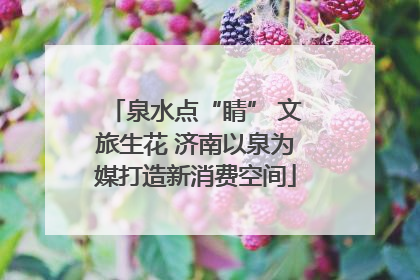 泉水点“睛” 文旅生花 济南以泉为媒打造新消费空间