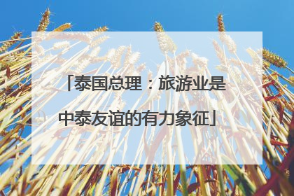 泰国总理：旅游业是中泰友谊的有力象征