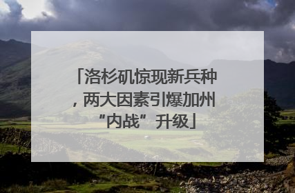 洛杉矶惊现新兵种，两大因素引爆加州“内战”升级