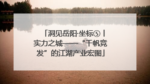 洞见岳阳·坐标⑤丨实力之城——“千帆竞发”的江湖产业宏图