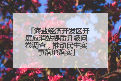 海盐经济开发区开展应消站提质升级问卷调查，推动民生实事落地落实