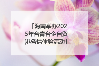 海南举办2025年台青台企自贸港省情体验活动