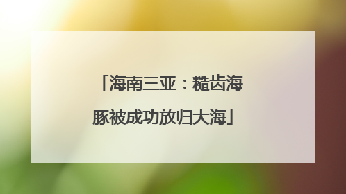 海南三亚：糙齿海豚被成功放归大海