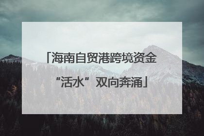 海南自贸港跨境资金“活水”双向奔涌