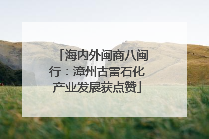 海内外闽商八闽行：漳州古雷石化产业发展获点赞