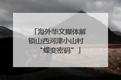 海外华文媒体解锁山西河津小山村“蝶变密码”