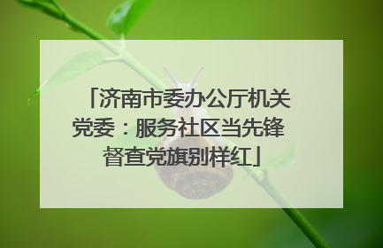 济南市委办公厅机关党委：服务社区当先锋 督查党旗别样红