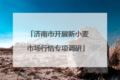 济南市开展新小麦市场行情专项调研