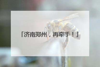 济南郑州，再牵手！