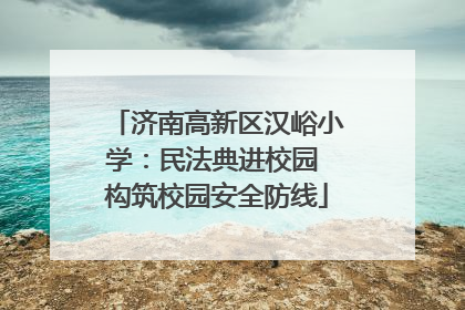 济南高新区汉峪小学：民法典进校园 构筑校园安全防线