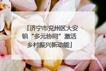 济宁市兖州区大安镇“多元协同”激活乡村振兴新动能