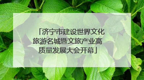 济宁市建设世界文化旅游名城暨文旅产业高质量发展大会开幕